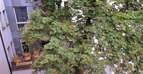 foto04_11351514_yv30w.jpg