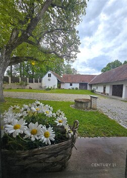 foto04_11507929_ggmq0.jpg
