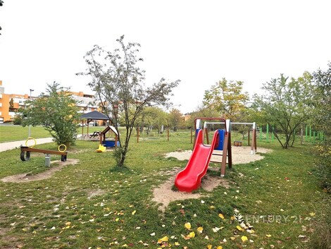 foto04_11566333_5uh8k.jpg