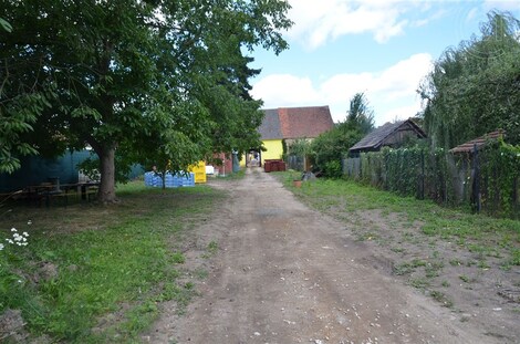 foto04_11355869_fumik.jpg