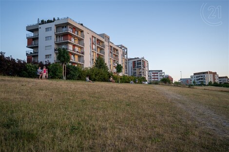 foto04_11358684_xmc8.jpg