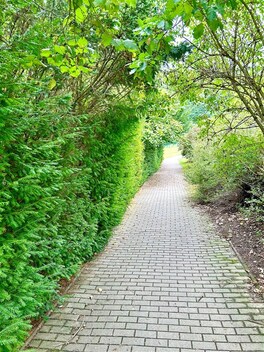 foto04_11362130_nl8j4.jpg