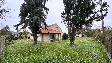 foto04_11476090_z3kqg.jpg