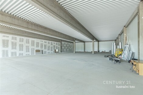 foto04_11499683_2huss.jpg