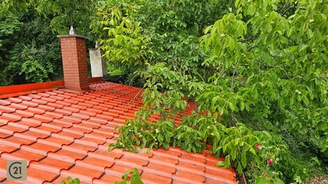 foto04_11353537_1in7g0.jpg