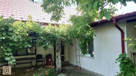 foto04_11353537_my6d0.jpg