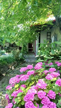 foto04_11353537_umymw.jpg