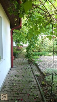foto04_11353537_uyba0.jpg