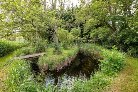 foto04_11053610_7d6j0.jpg