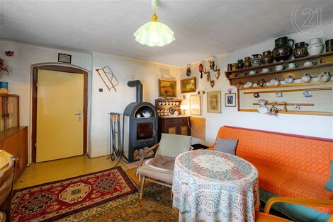 foto04_11331487_ivys4.jpg