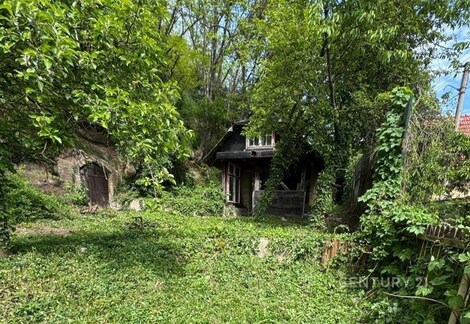 foto04_11407553_1hmkp0.jpg