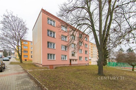 foto04_11446831_1hzsrw.jpg