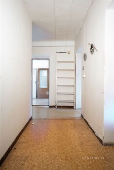 foto04_11461831_juzfg.jpg