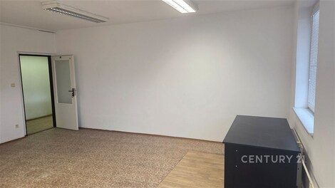 foto04_11474706_9yxu4.jpg