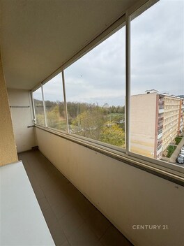 foto04_11479710_19gypk.jpg