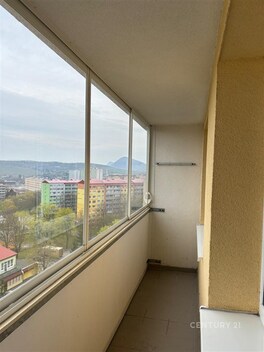 foto04_11479710_pz8fw.jpg