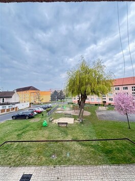 foto04_11485117_17dujk.jpg