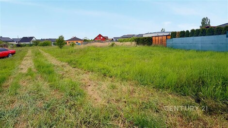 foto04_11504043_kdvr4.jpg