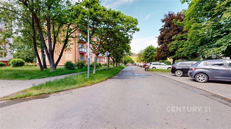 foto04_11504368_18gcvw.jpg