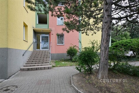 foto04_11555110_h37dk.jpg