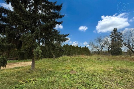 foto04_11192698_1hvigc.jpg
