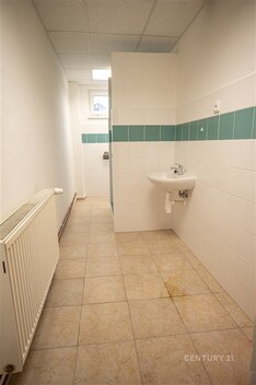 foto04_11218194_qn3e4.jpg