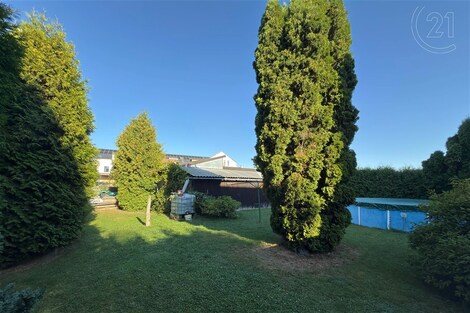 foto04_11370885_cxzb4.jpg