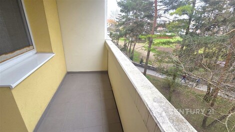 foto04_11479809_zj3zs.jpg