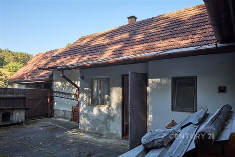foto04_11536302_zymek.jpg