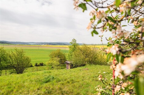 foto04_11066941_1hdzo.jpg