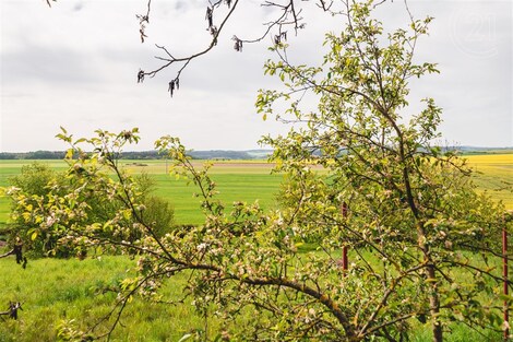 foto04_11066943_xfhrs.jpg