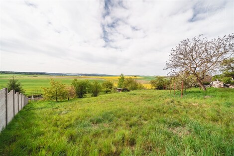 foto04_11066944_umodg.jpg
