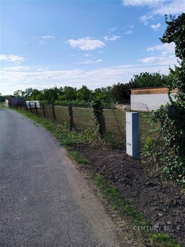 foto04_11266918_l9dpc.jpg