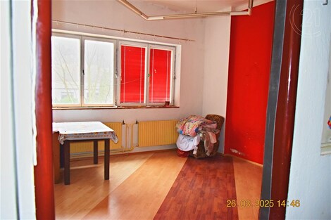 foto04_11303210_rrqz0.jpg