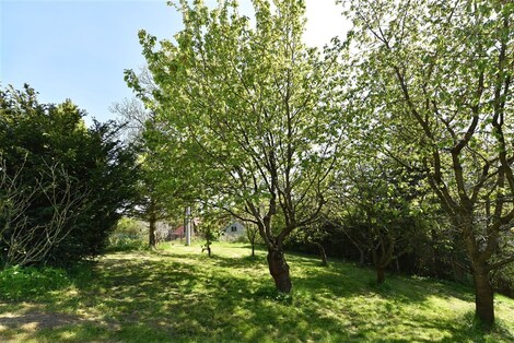 foto04_11323853_yp0i8.jpg