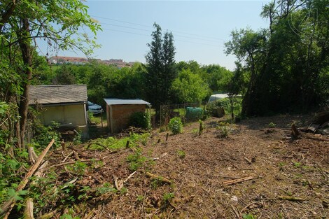 foto04_11338638_14njvw.jpg