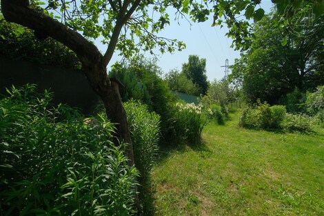 foto04_11339141_15ftxw.jpg