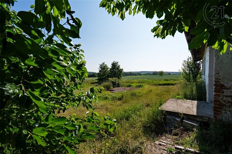 foto04_11344192_oy1pg.jpg