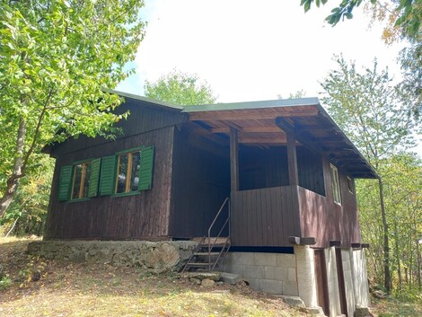 foto04_11355071_3j3jg.jpg