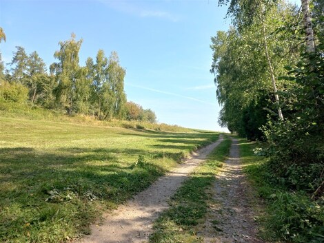 foto04_11355071_4urwc.jpg