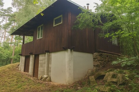 foto04_11355071_xxwno.jpg
