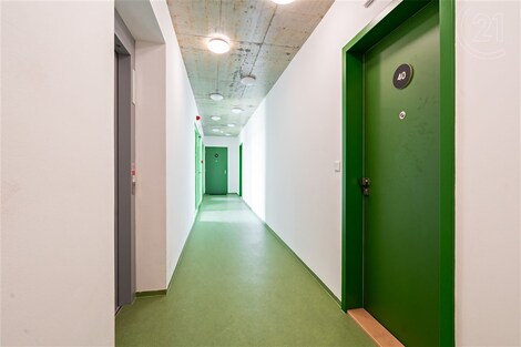 foto04_11357061_hvujs.jpg