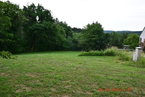 foto04_11359983_ryab8.jpg