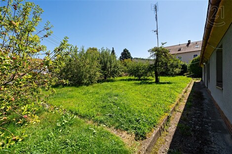 foto04_11372893_z0uz0.jpg