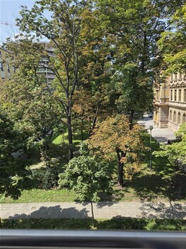 foto04_11379458_ikkzc.jpg