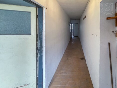 foto04_11383526_v2yy4.jpg