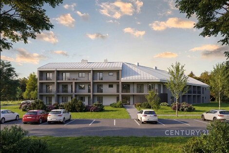foto04_11498614_zxo2g.jpg
