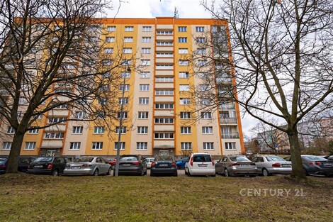 foto04_11503875_1jfxxo.jpg