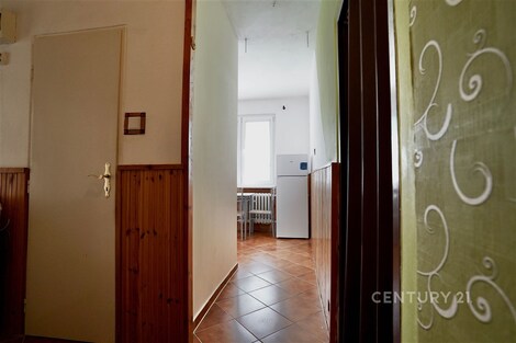 foto04_11516848_bani8.jpg
