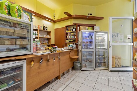 foto04_11518616_1jhnqo.jpg